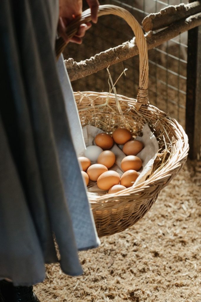 Farm Fresh Eggs in Natchitoches La