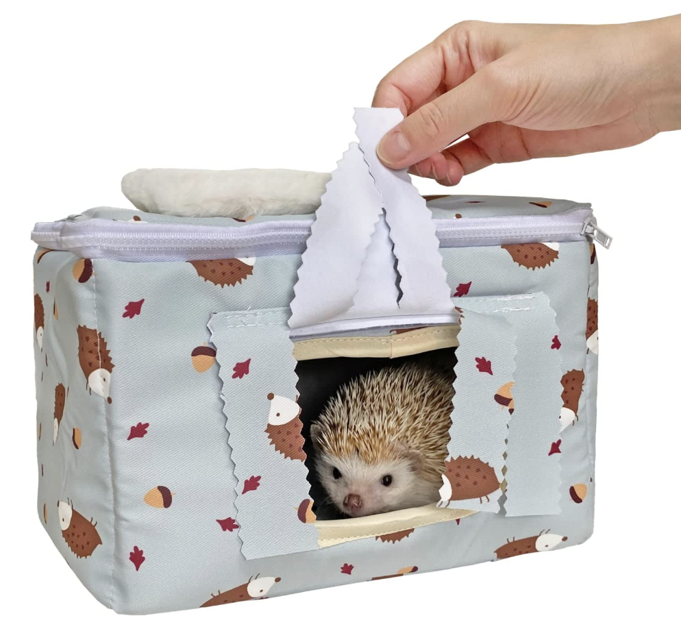 Hedgehog Supplies
